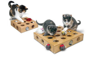 Pioneer Peek-A-Prize Toy Box