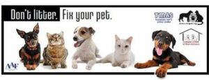 Spay or Neuter Pet