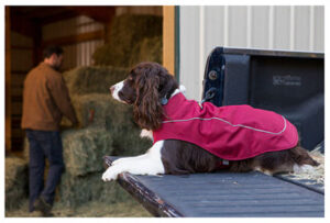 Ruffwear-K-9-Overcoat