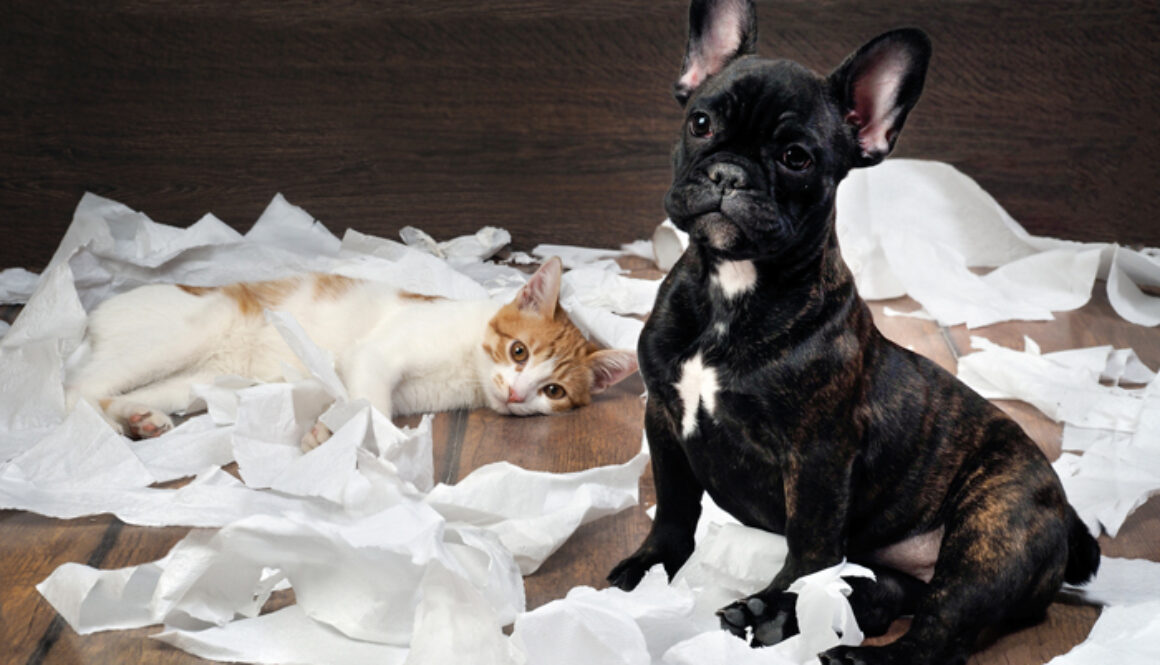 SeptemberProducts-FI