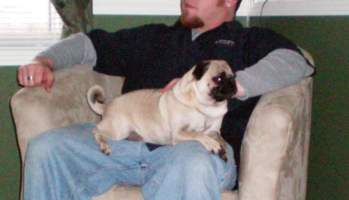 Seth Moffatt - Animal Behavior College Student of the Month