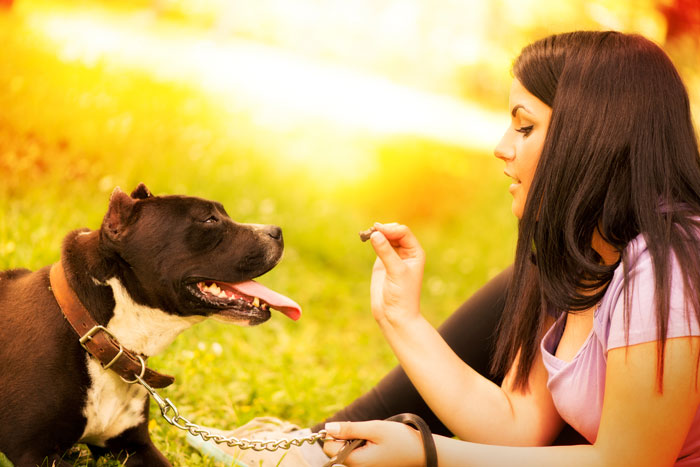 Taking-Treats-lead