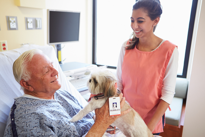 TherapyDogs-FI
