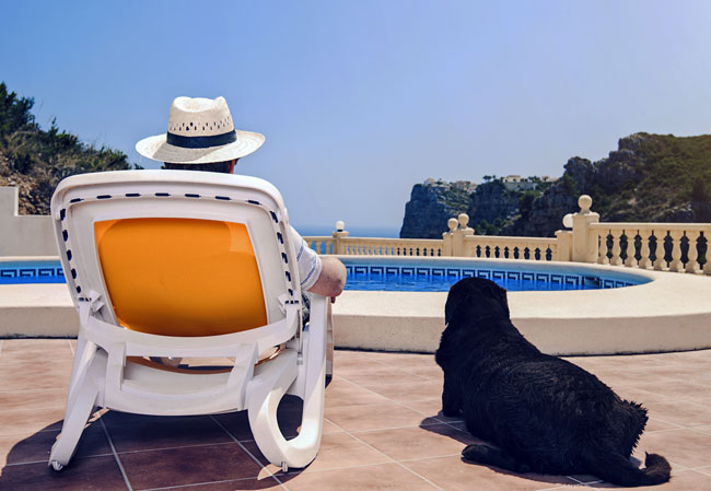 Vacationing-with-Dog-FI