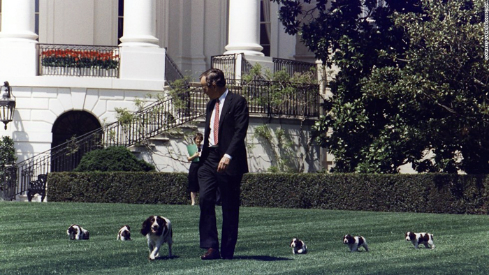 WhiteHousePets-FI