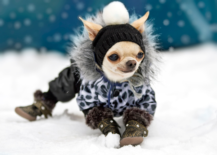 WinterApparel-FI