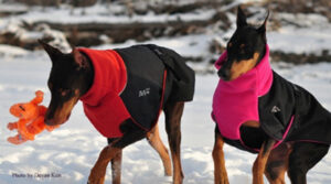 Great White North Winter Dog Jacket Winter Dog Jacket