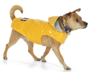 UpCountry’s Nantucket Rain Slicker Dog Rain Coat