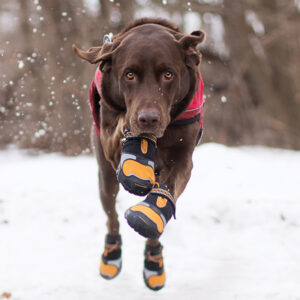 Kurgo's Step & Strobe Dog Boots Dog Boots