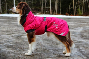 Hurtta Summit Parka Winter Dog Parka