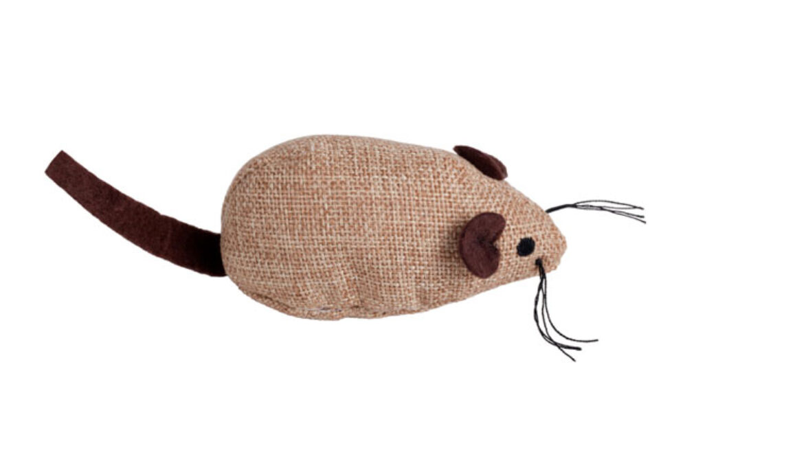 Best Cat Toys Right Now