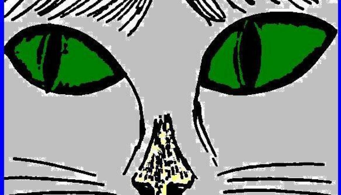 cat-art-framed-080612