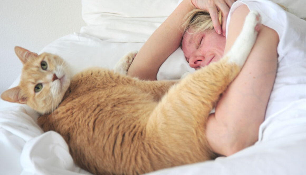 Daylight Savings and Pets