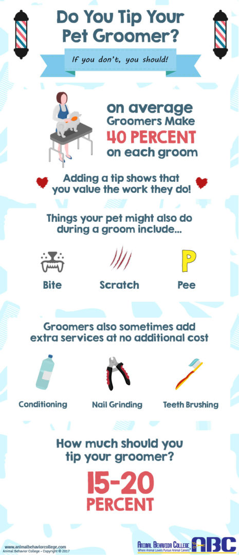 Do You Tip Dog Groomers Infographic Excellent service from your dog groomer deserves to be recognized