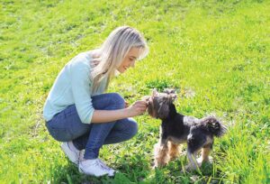 Become a Dog Trainer Become a Dog Trainer