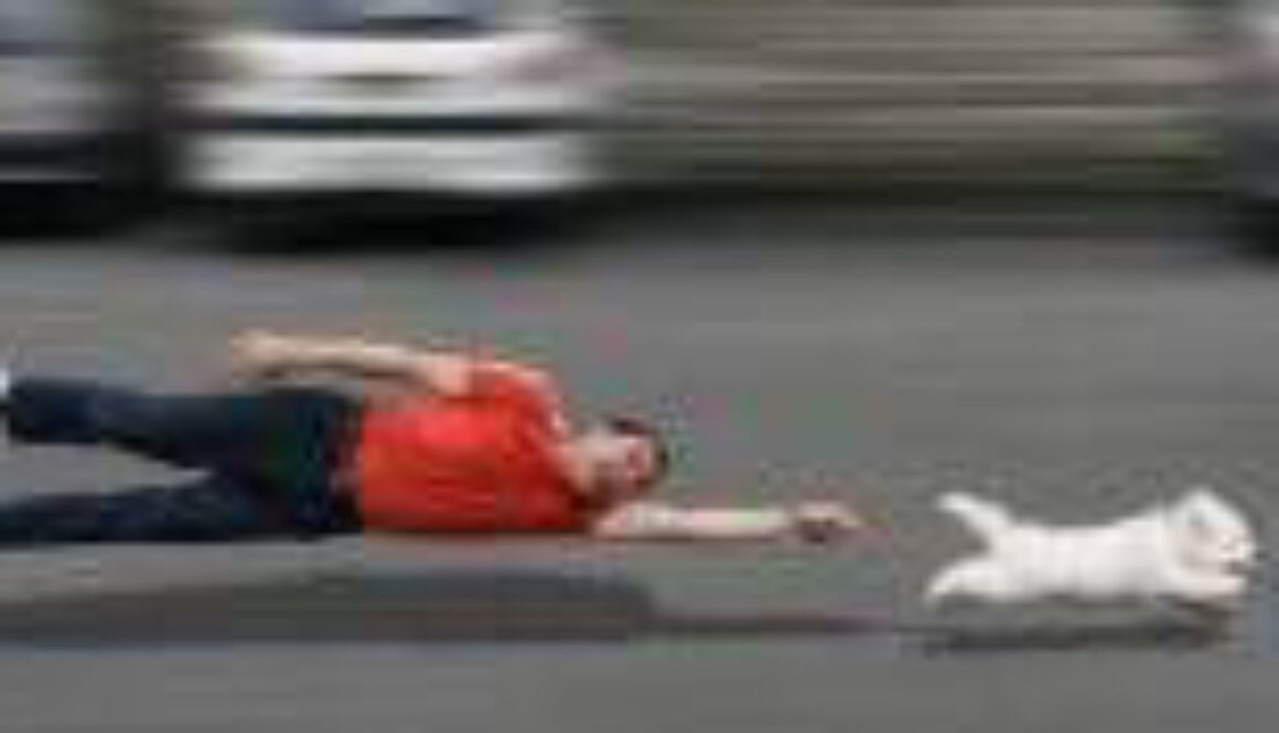 Importance of Dog Obedience Training