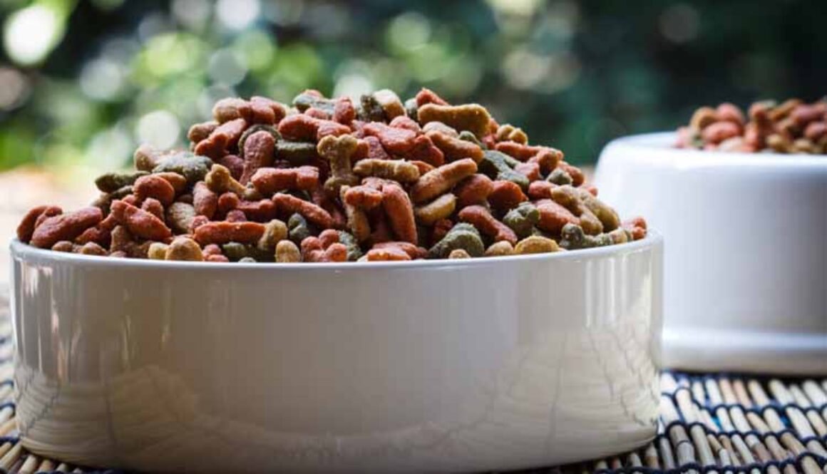 Must-Have Pet Products