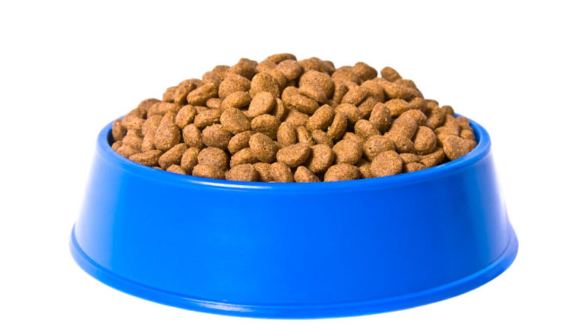 Exciting Pet Products