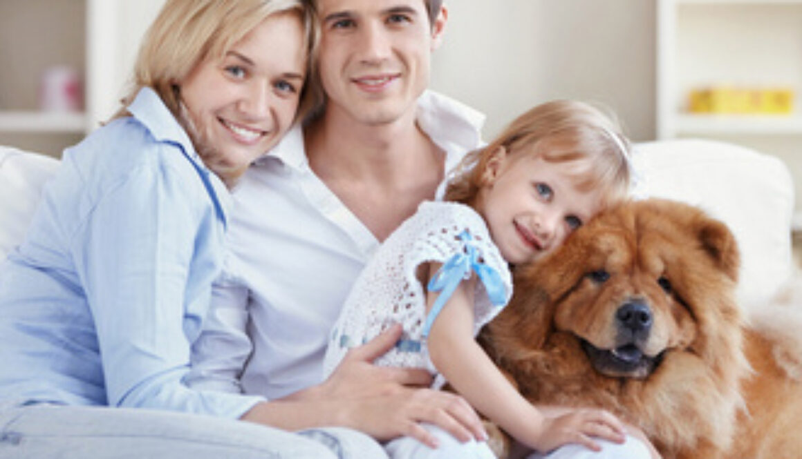 Benefits of Dog Ownership