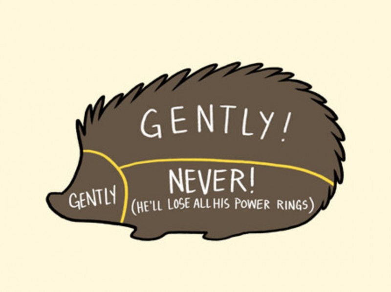 How to Pet a Hedgehog