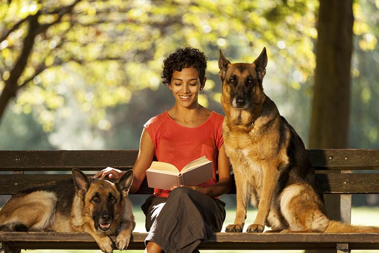 Woman is sitting on a bench with two german shepherds