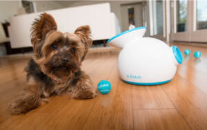 iFetch Automatic Ball Launcher