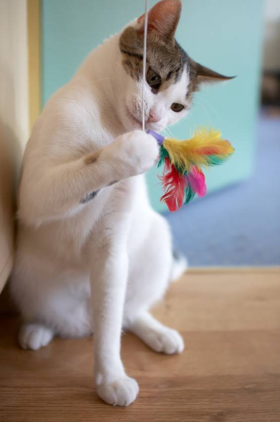 iStock_000002390333Small