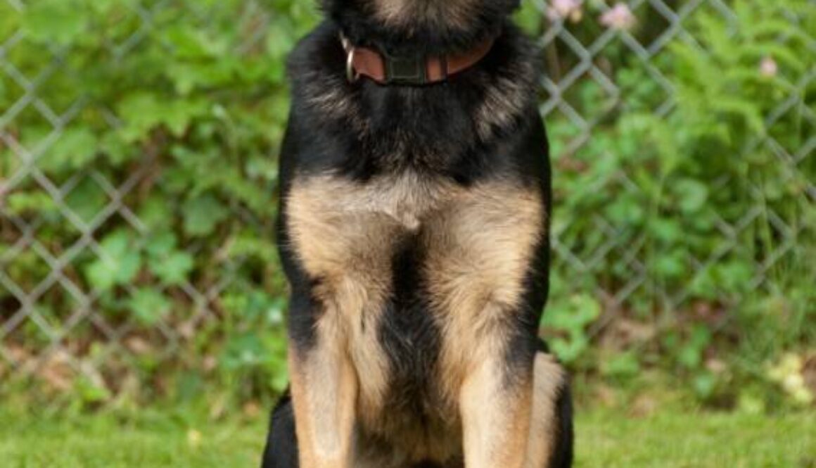 iStock_000022670398Small