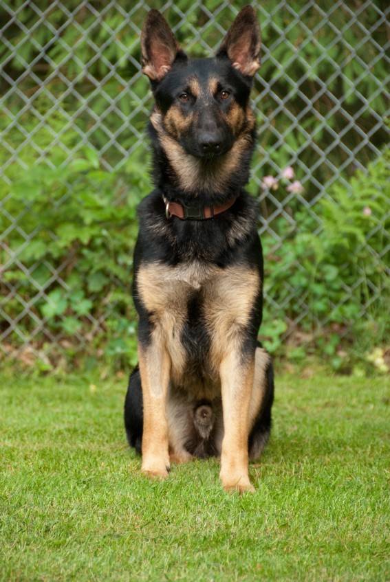 iStock_000022670398Small