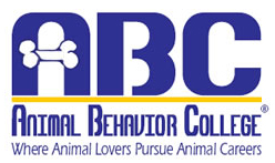 whereanimalloverspursueanimalcareers