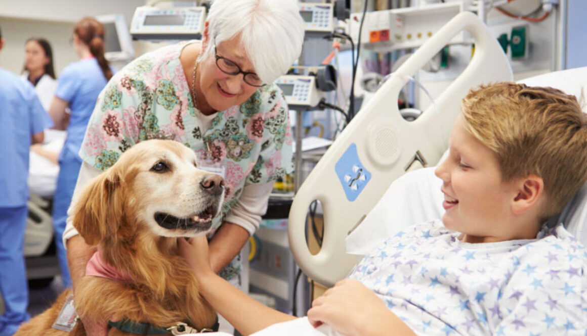 Training dogs to help people and make a difference in dogs lives