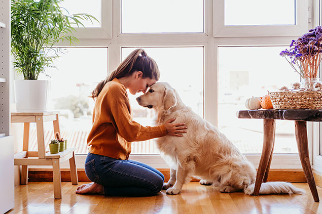 beautiful woman hugging her adorable golden retriever dog at hom