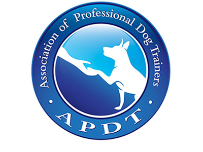 GettingAhead-APDT-FI