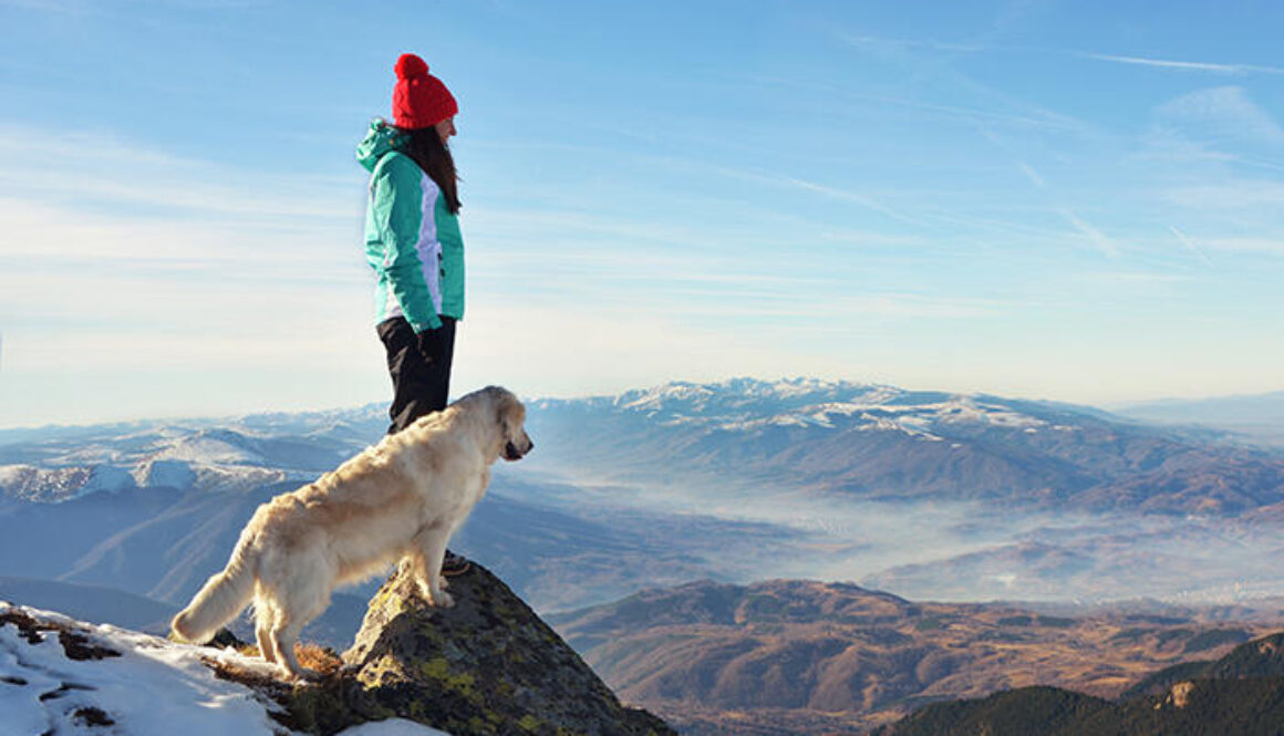 Helping Clients Keep Their Dogs Fit for an Active Lifestyle