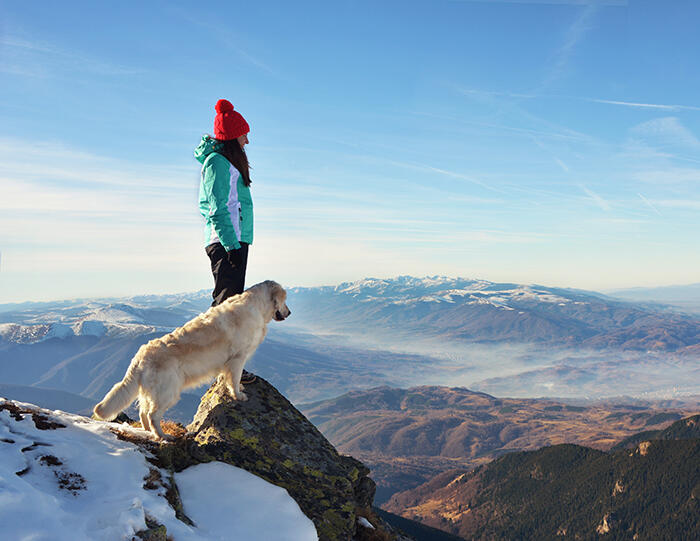 Helping Clients Keep Their Dogs Fit for an Active Lifestyle