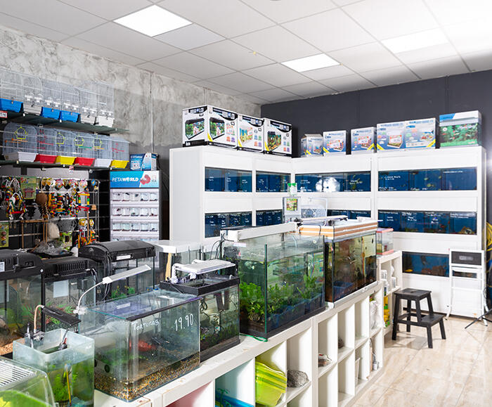 Finding Clients Through Local Fish Store Outreach