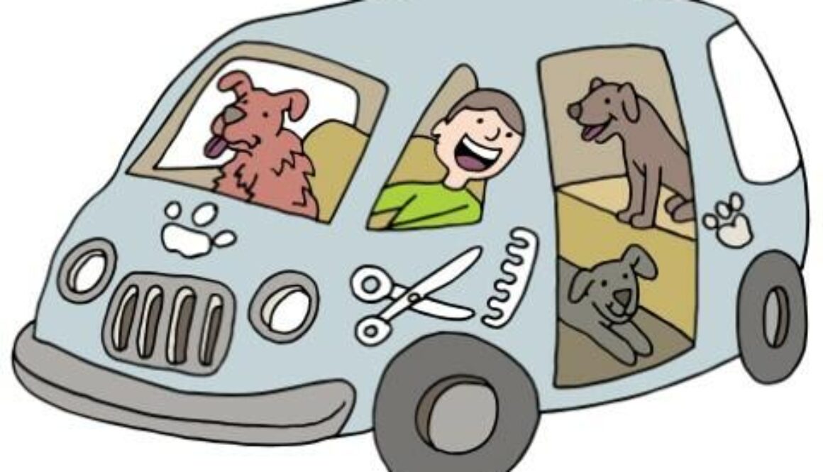 Should I Switch to Mobile Grooming