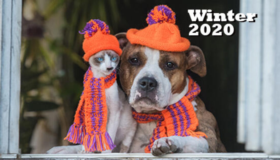 Paw Prints - Winter 2020