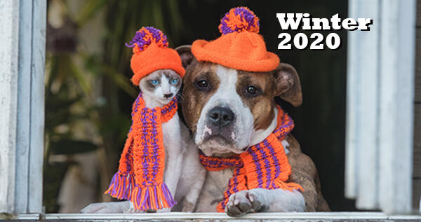 Paw Prints - Winter 2020
