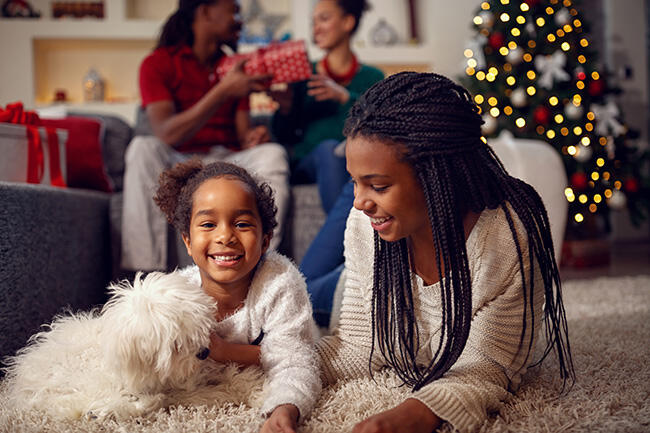 A Happier, Safer Home for the Holidays