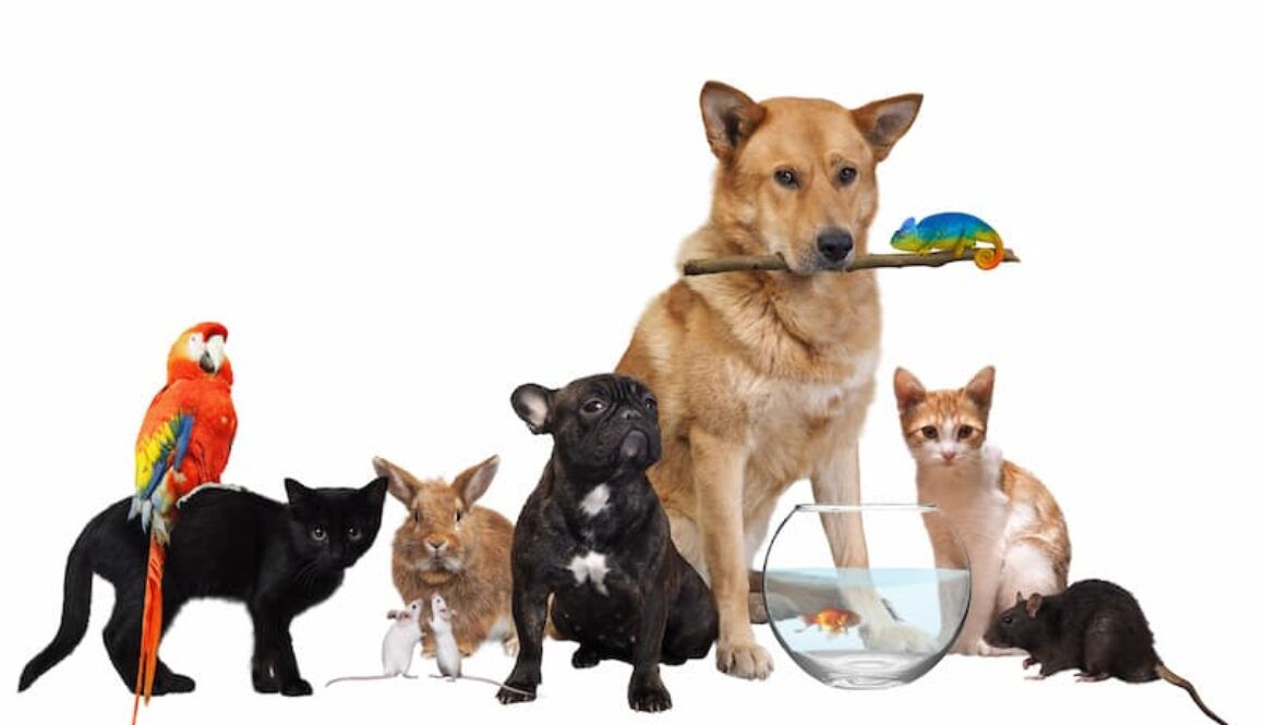 AdobeStock_197184575