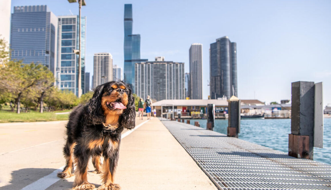 AdobeStock_362254687