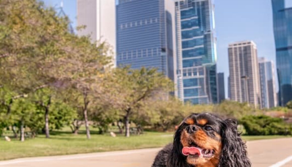 SZ2-AdobeStock_362254290