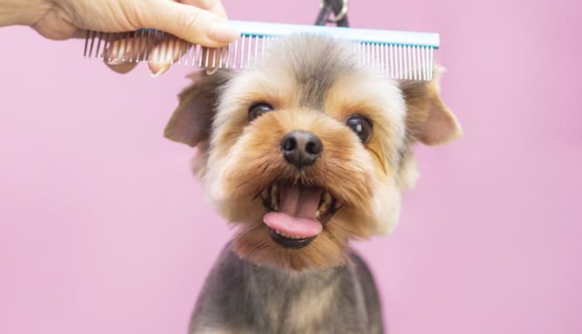 AdobeStock_314129080