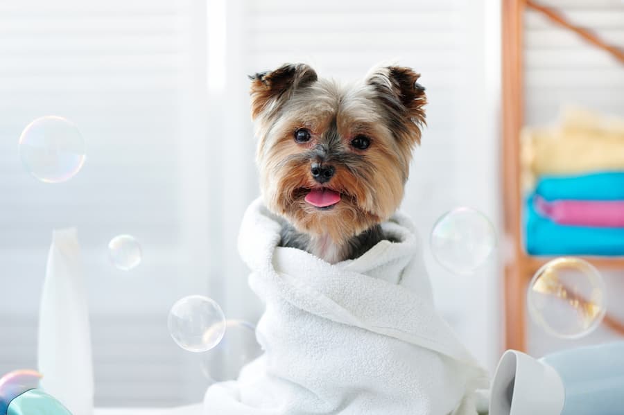 AdobeStock_217497757