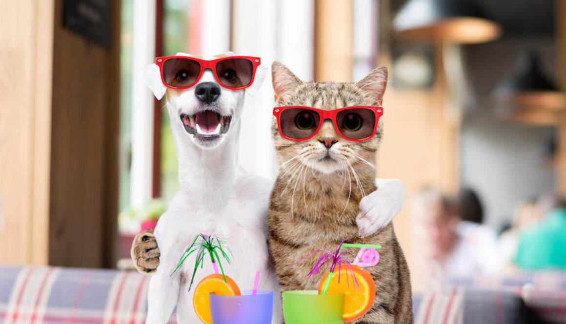 AdobeStock_271250473