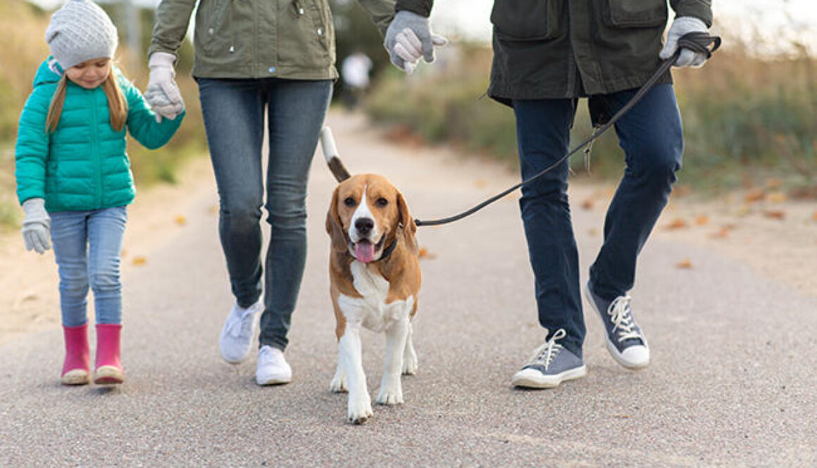 family walking with dog in autumn