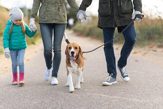 family walking with dog in autumn