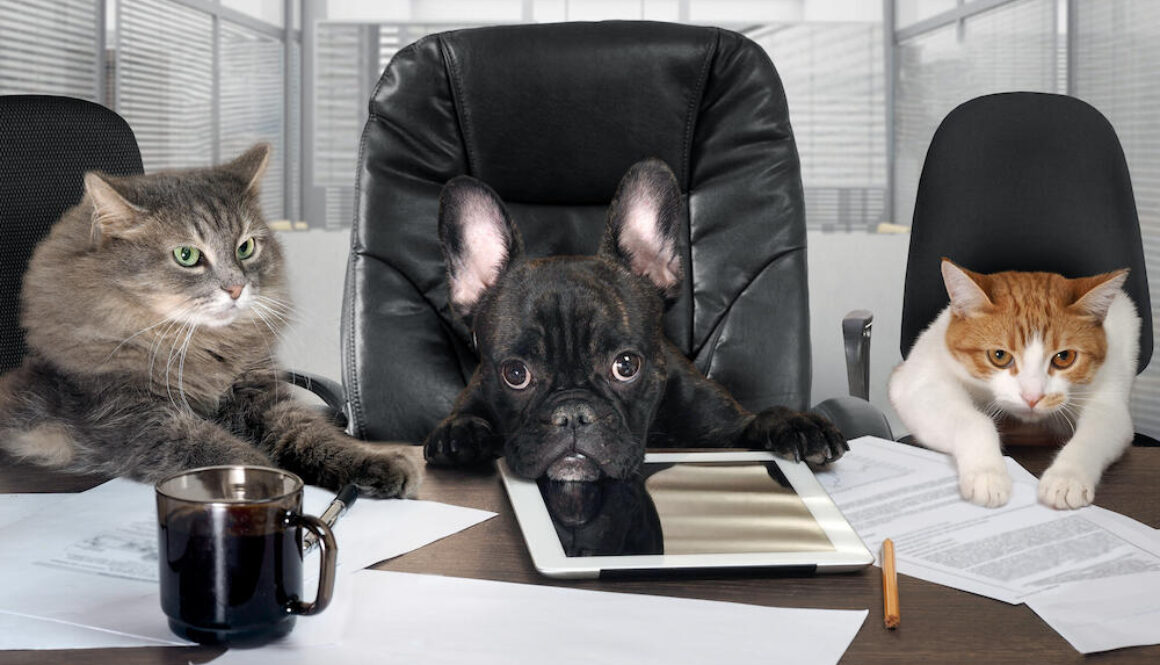 AdobeStock_118749538