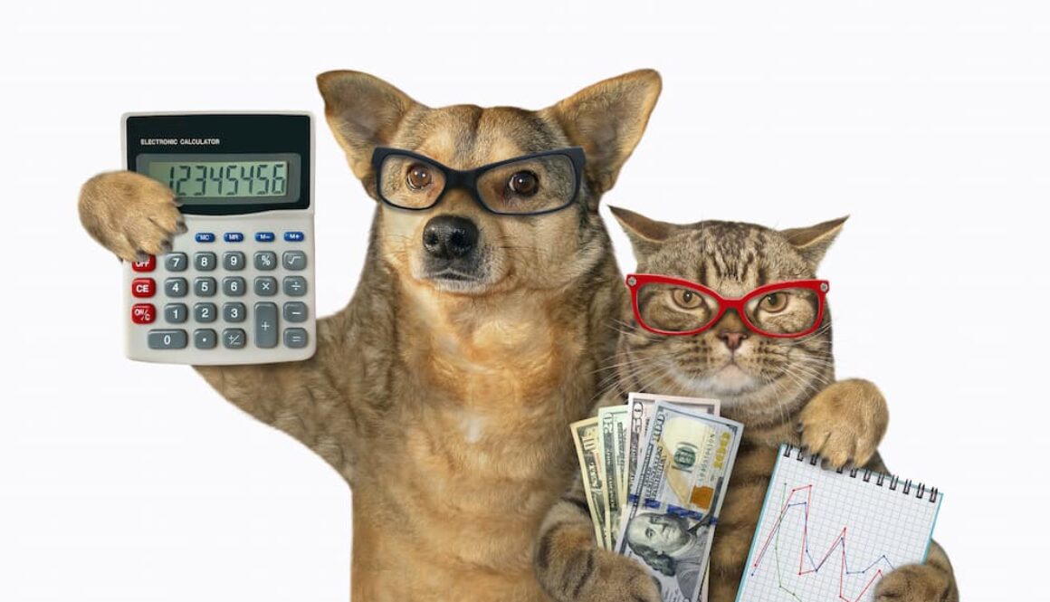 DogCatMoney